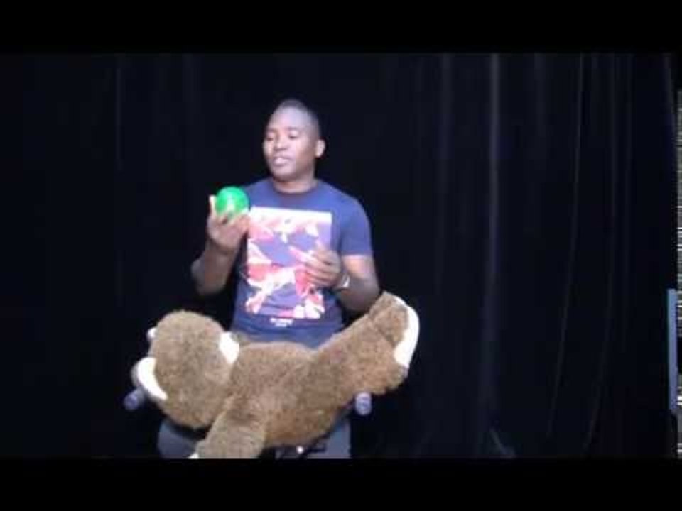 Le Magnific / Les Éléphants