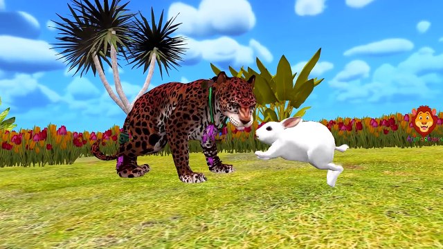 Jaguar Finger Family Rhymes | Animal Finger Family Nursery Rhymes For Children | Jaguar Cartoons