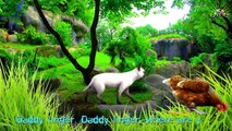 Leopard Venator Finger Family Nursery Rhymes For Kids & Cartoons 3D Rhymes