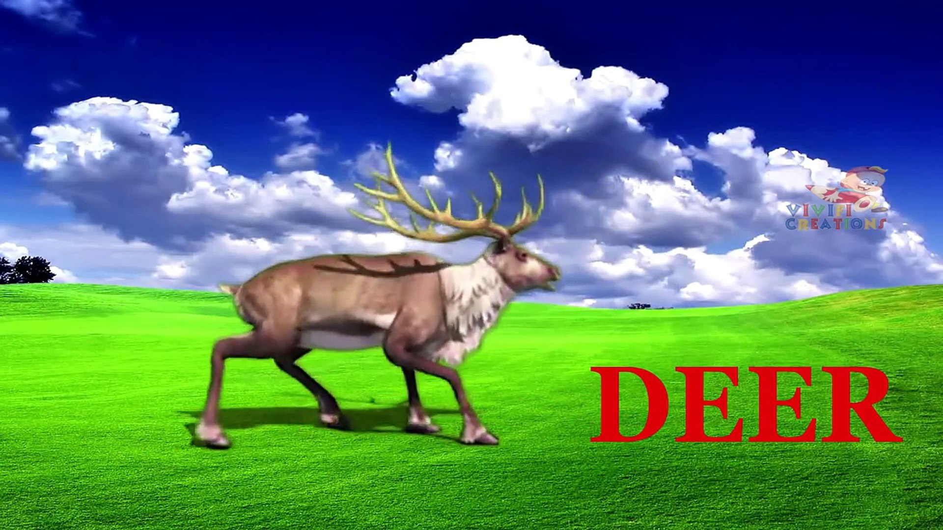 ⁣Learn wild Animals Names And Sounds For Kids   Wild Animals   Farm Animals   Pet Animals