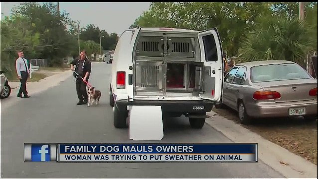 Pit Bull Mix Named Scarface Mauls Owners After They Tried To Put A Sweater On Him!