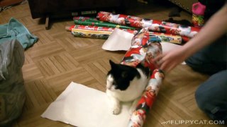 From our house to yours, I've found this video very helpful when it comes to wrapping presents.