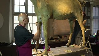 Napoleon's last horse to strut his stuff after makeover