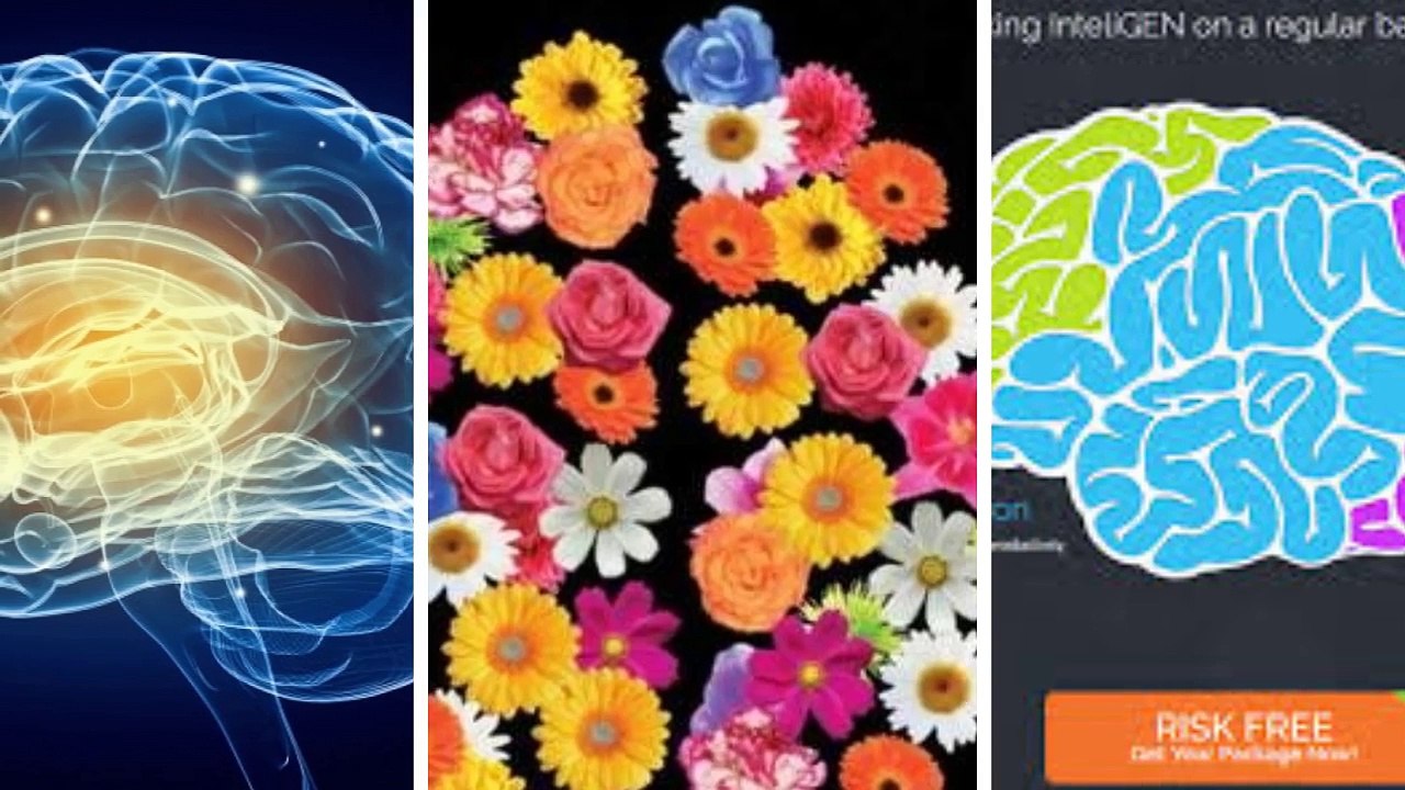How To Increase Brain Power