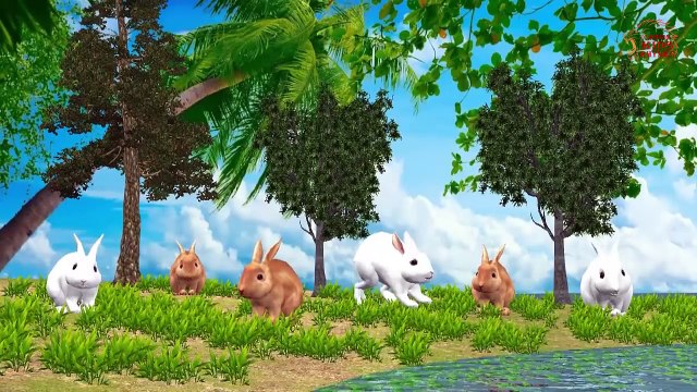 Animals Cartoon for Children | 3d Animation Song Tiger & Lion,Elephant Nursery Rhymes