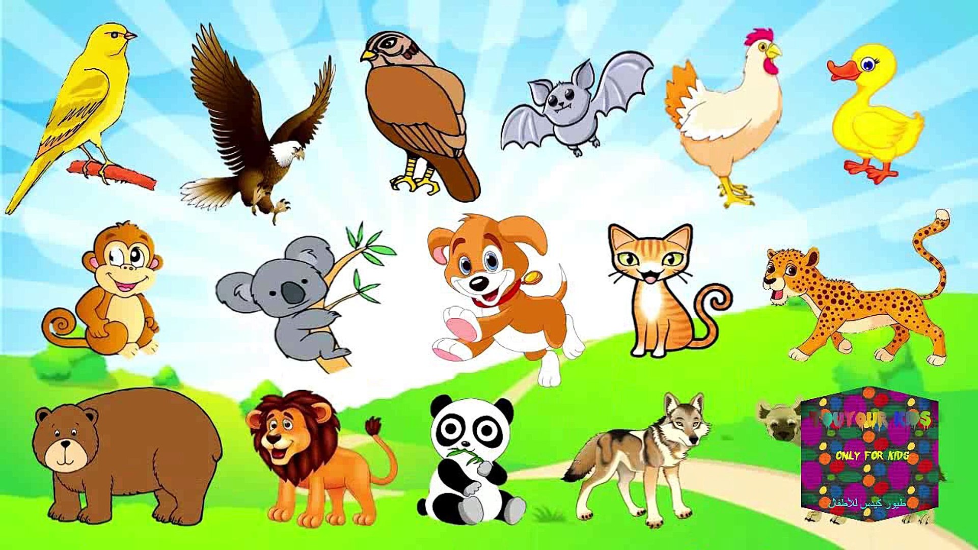 تعليم أصوات الحيوانات للأطفال - أسماء وأصوات الحيوانات Toyour kids - Vidéo  Dailymotion