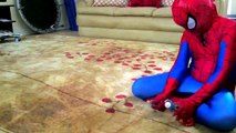 Spiderman vs Joker vs Joker Girl vs Frozen Elsa Sumo Wrestling Funny Superheroes