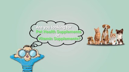 Vetafarm Products – A Leading Online Vendor for Pet Medications