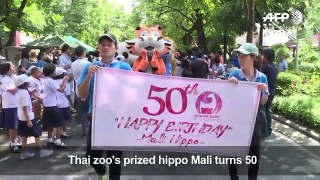 Thai zoo throws birthday party as prized hippo turns 50