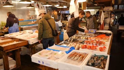 هذا الصباح- سوق تسوكيجي للأسماك في طوكيو