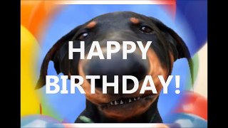 Happy Birthday!!! - Funny Birthday Songs (Cute Puppy Edition)[5]