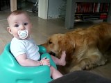 Golden retriever & baby.. Best friends