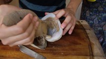 How To Clean and Cut Geoduck Clams.