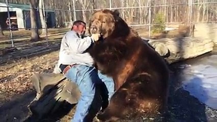 Love of Bear and Man! OMG! This Bear is still taller than him sitting down