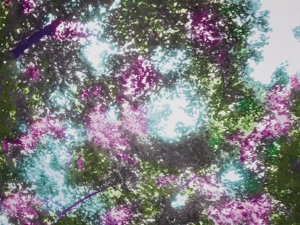 Vœux 2017 - carte blanche à Martine Aballéa