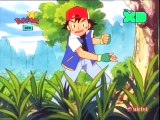 Pokémon Season 1 Opening in Hindi on Disney XD India TV Ripped Song