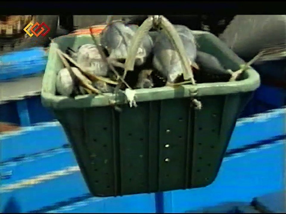 LER 23 NOV PESCA II