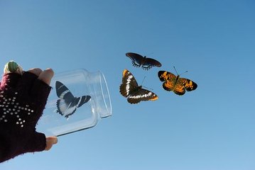 Por que tememos a liberdade?