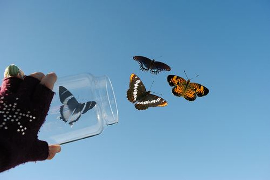 Por que tememos a liberdade?