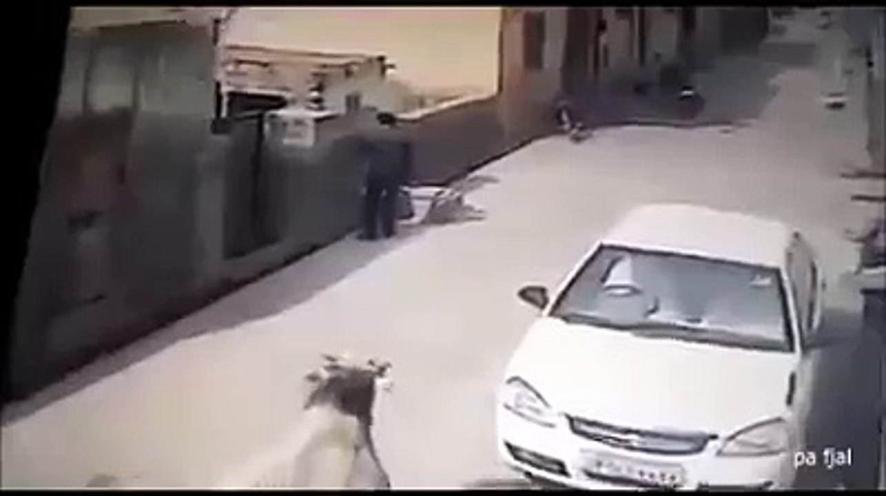 Kur kalon Muzati mos fol ne mobil