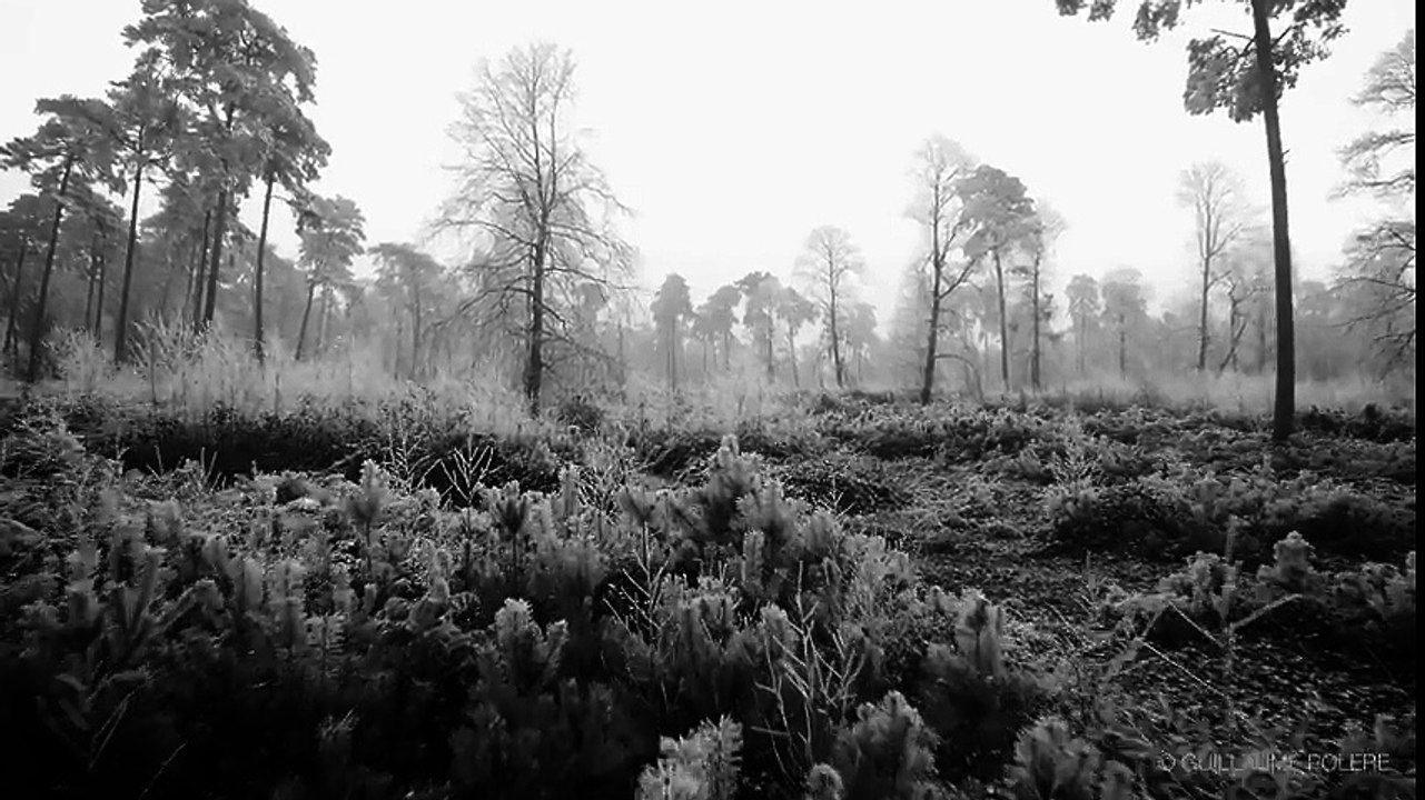L'impressionnante vidéo du givre en Normandie filmée par un drône