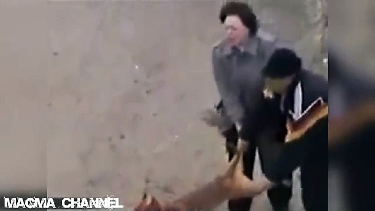 Pit bull enloquecido ataca a sus dueños - Pit bull attacks his crazed owners.