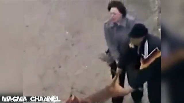 Pit bull enloquecido ataca a sus dueños - Pit bull attacks his crazed owners.