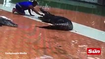 Thailand crocodile snaps his keeper's arm in half as feeding time performance goes wrong