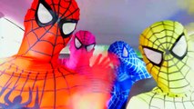 Superheroes Dancing in Car | Spiderman Blue Spidergirl Pink Spiderman Yellow Spiderman in Real Life