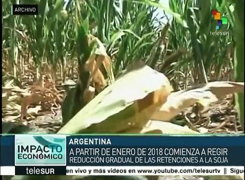 Argentina: inicia la reducción gradual de retenciones a la soja