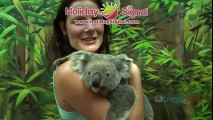 Gold Coast holiday travel video guide, Queensland Australia | www.holidaysignal.com