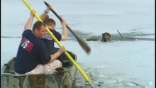 Coincé au milieu du lac glacé, le courageux chien se fait aider