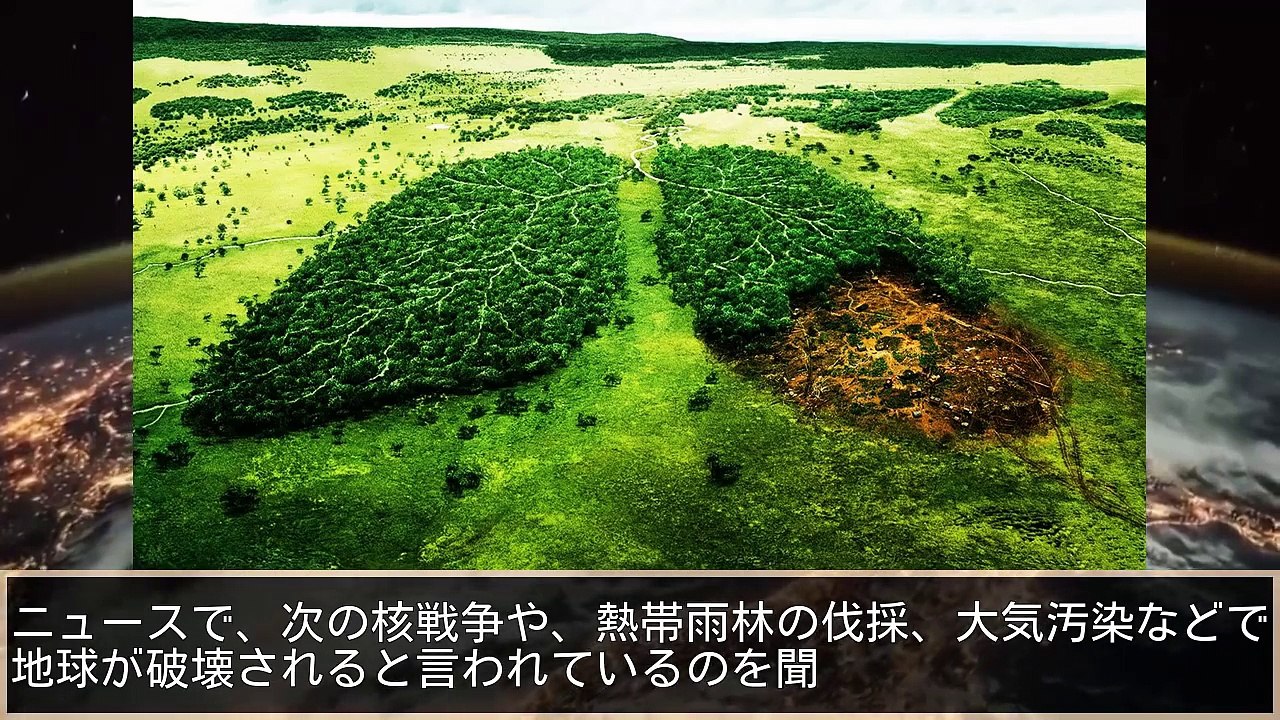 地球を破壊する10の方法