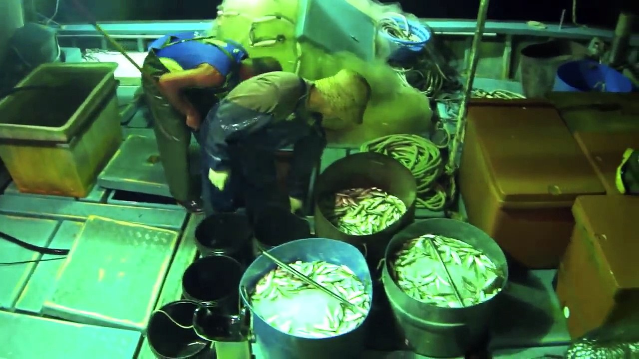 Big Fish Boat Deep Sea Fishing