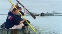 Ils interviennent pour sauver un chien piégé dans un lac gelé!