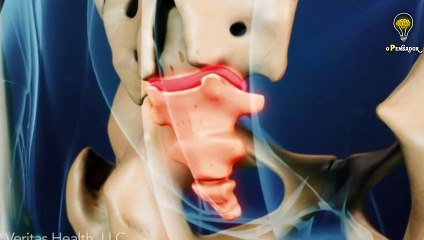 Tugalandia - 8 PARTES DO CORPO HUMANO QUE VOCÊ NÃO PRECISA TERO Pensador