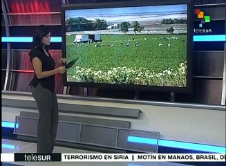 Tải video: México: gasolinazos podrían provocar un alza en productos del campo