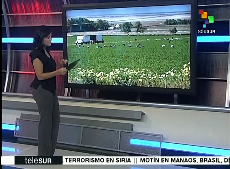 México: gasolinazos podrían provocar un alza en productos del campo