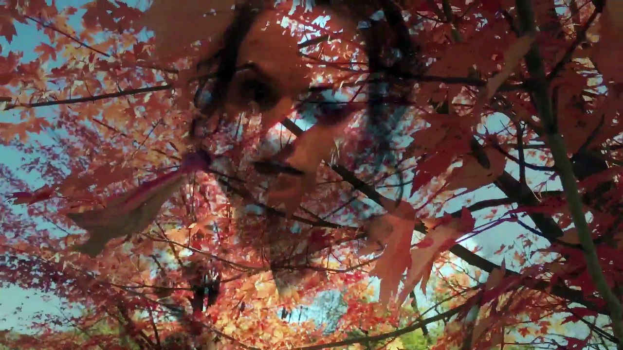 Carolyn Marie "Shelter Me" feat. Sam Halabi