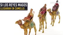 Hidratación, velocidad y recorrido: lo que pasaría si los Reyes Magos llegaran en camello