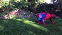 Frozen Elsa Spiderman Make Lots Of Cookies vs Joker Prank Fun Superhero Kids In Real Life In 4K