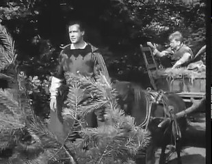 12. The Adventures Of Robin Hood The Bandit Of Brittany