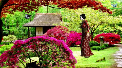 Crocodile Cartoons Singing Finger Family || Nursery Rhymes For Cartoon Children Rhymes