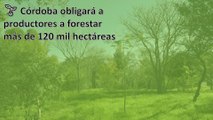 Córdoba obligará a productores a forestar más de 1⃣2⃣0⃣ mil hectáreas  #forestacion
