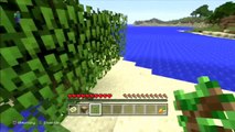 Minecraft Ps3 Edition How To Craft Crafting Table