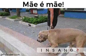 MAE É SEMPRE MAE