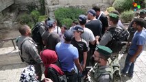 Palestine: 2016 Deadly Year For Palestinians In West Bank And Gaza Strip