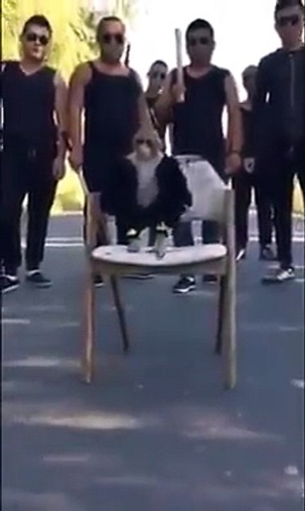 hehehe