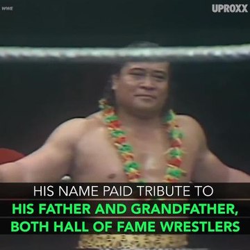 Is The Rock The Biggest Wrestling Star?