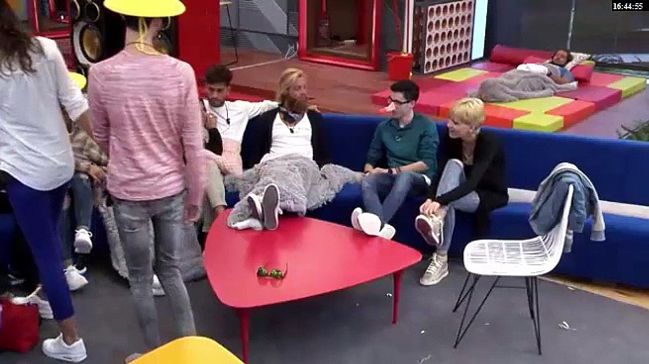 Rodri y Bea - Koala 17.09.2016
